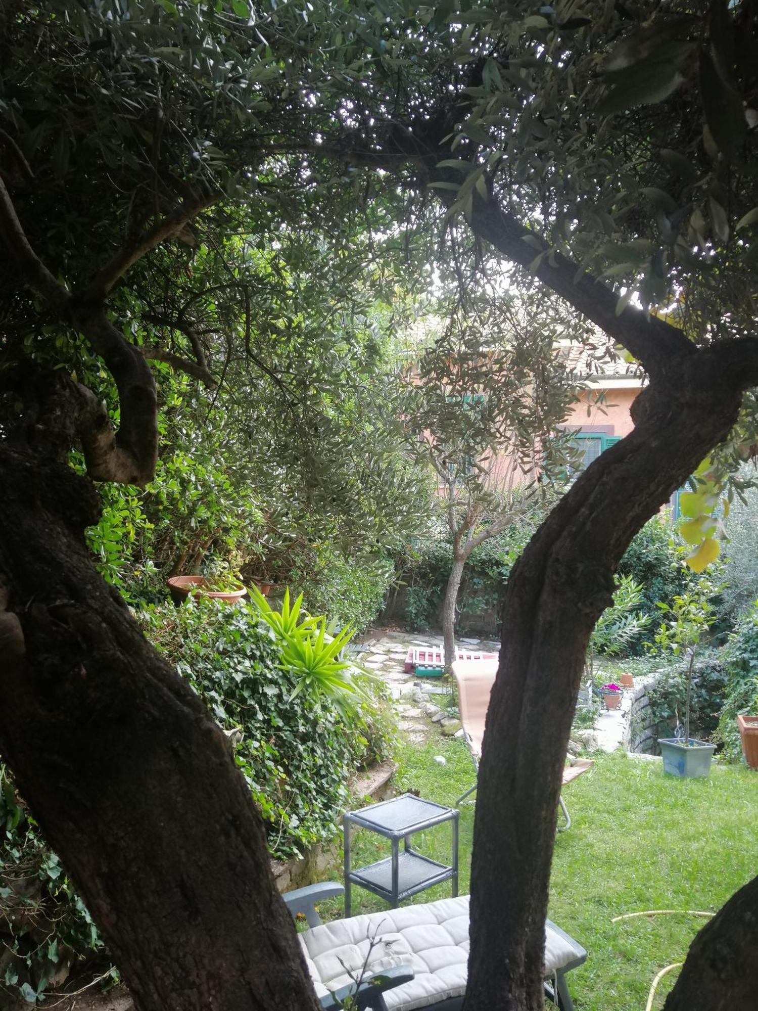 Home Shanti Grottaferrata Dış mekan fotoğraf